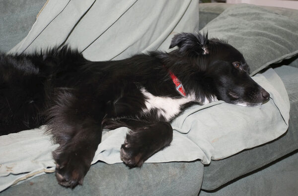 Have caused mayhem and destruction, think I'll have a rest
