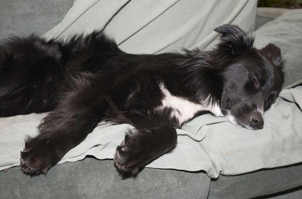I AM pooped