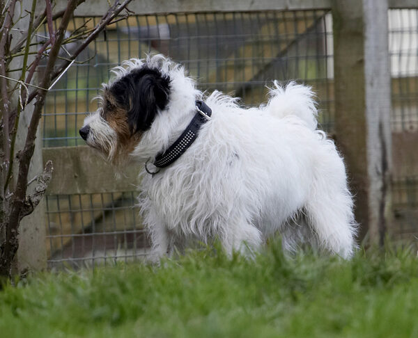 Hmmm, wot's going on over there?