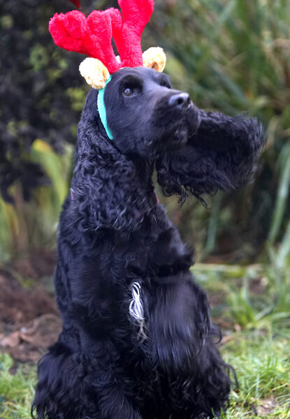 I'm all ears.........