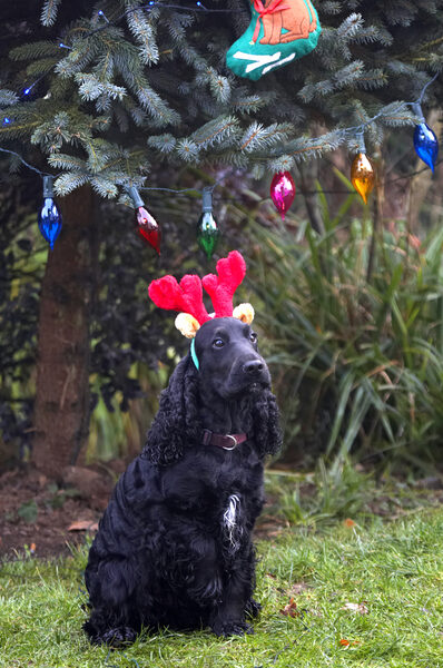 I am sooooooooo humiliated