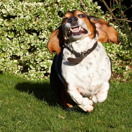Whee, I'm flying
