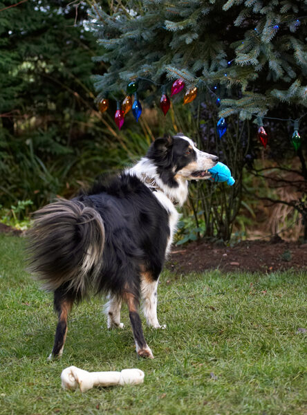 Think I prefer the ball