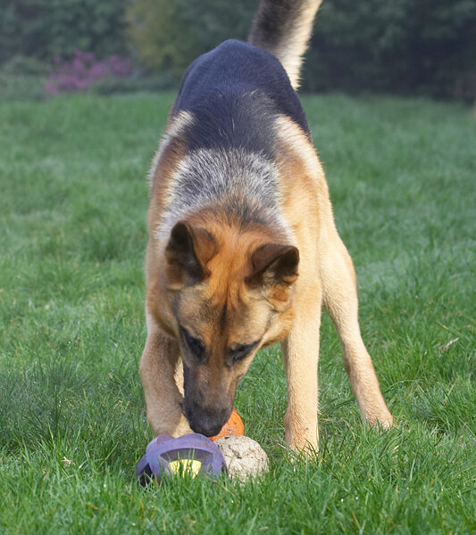 Now, how do I pick up this ball?