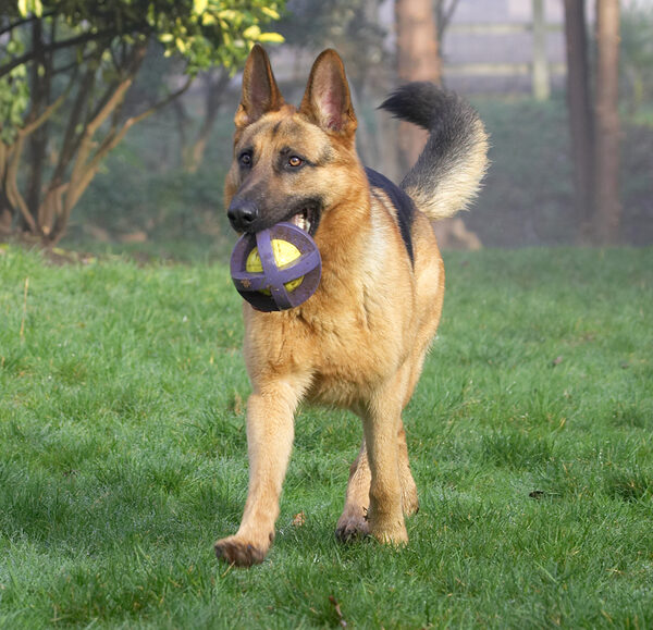I wouldn't let the ball beat me!