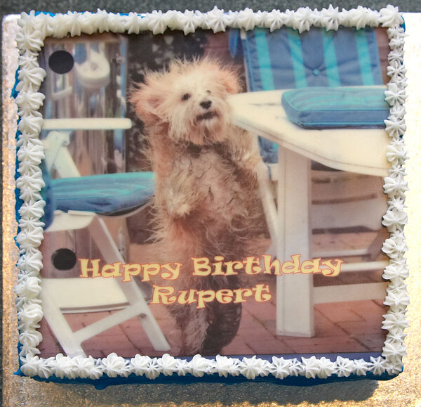 Rupert's Birthday Cake