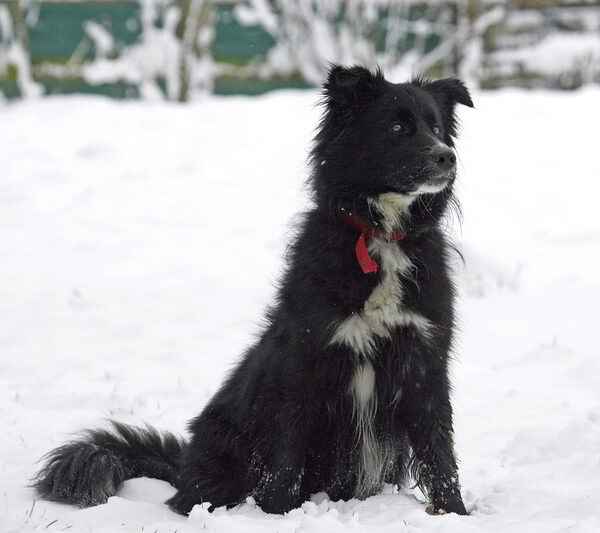 What's all this white stuff?