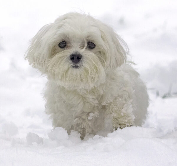 What's all this white stuff?