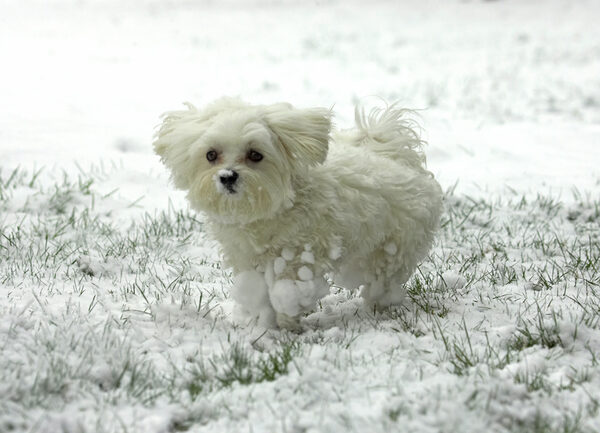 I  just love this white stuff