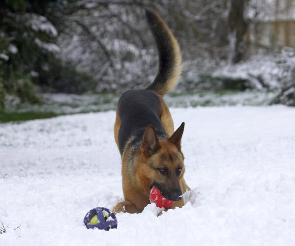 I just love playtime