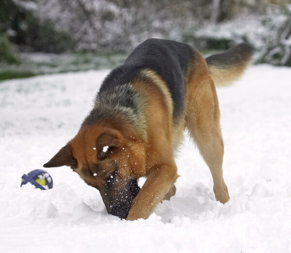 I know the ball's in here somewhere