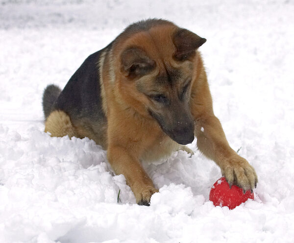 Now, how do you make this ball move?