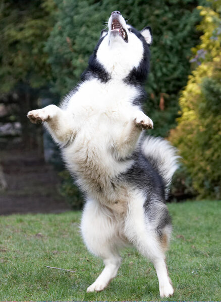 C'mon ball, come to me