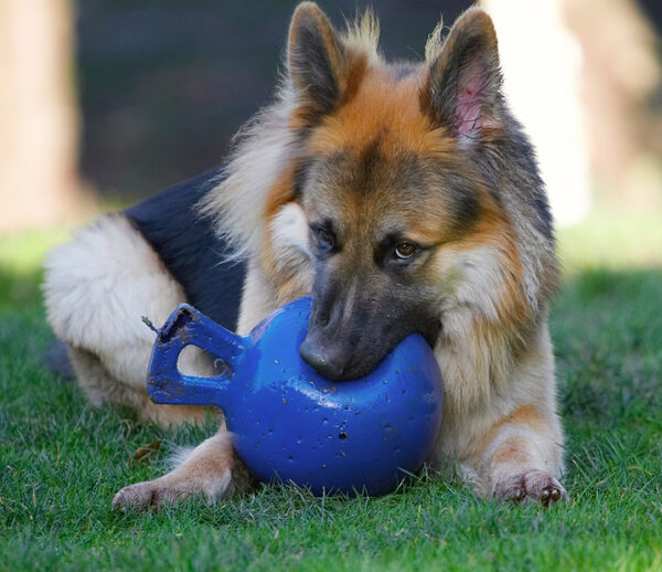 I'll just give this a good chew