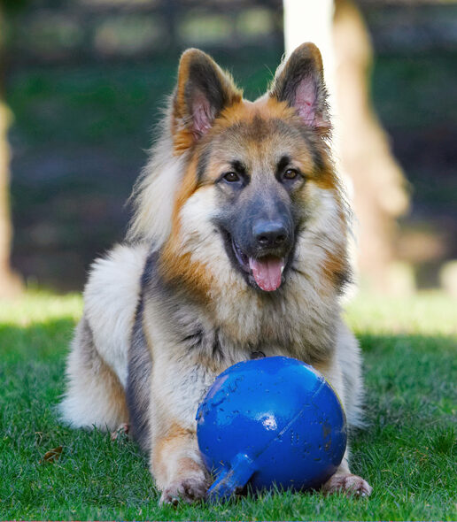 I'm guarding this ball