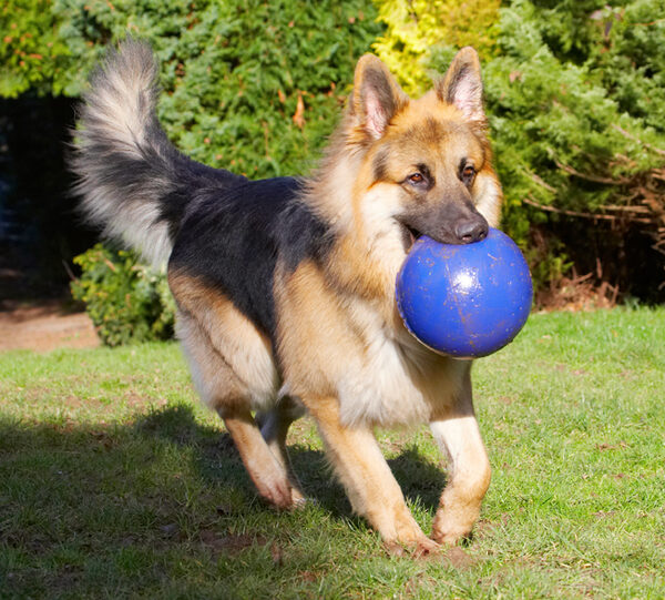 Time for more play