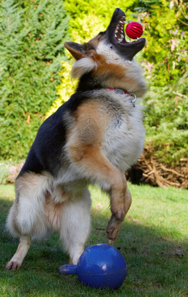 ....... and wot a catch