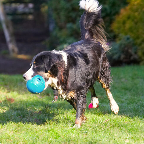This ball is just my size