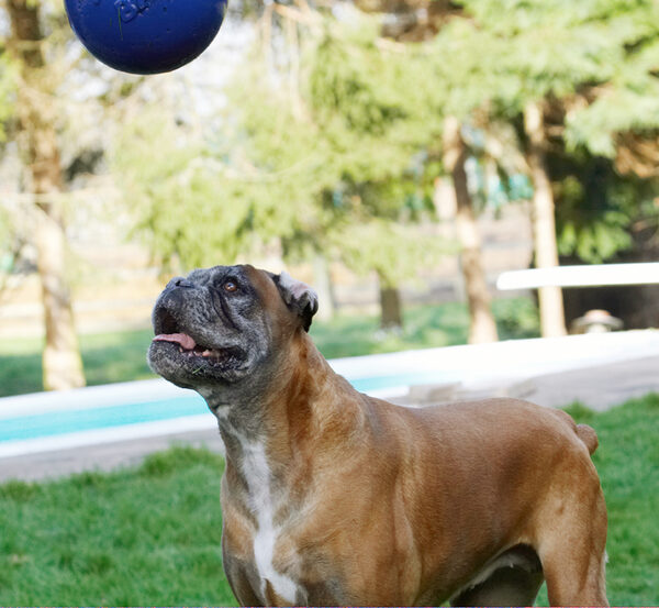 How d'ya expect me to catch that??