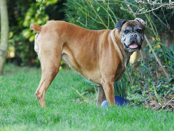 Wot AM I supposed to do with this really big ball?