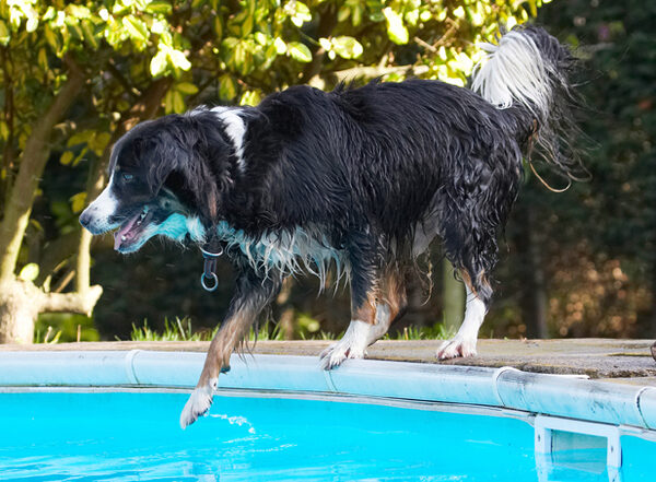 Let's just test the water