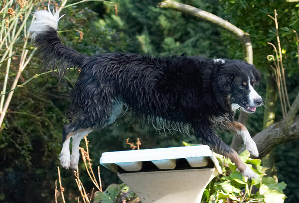 Whee, I'm flying