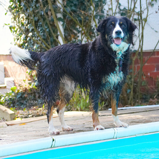 WOT, you want me to go in!!!!!!!!!!