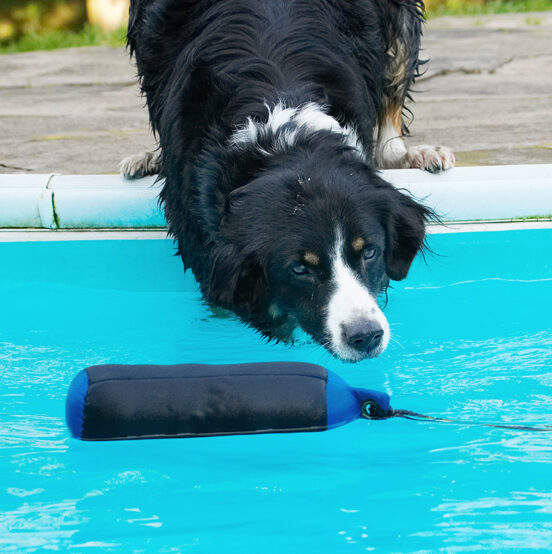 ......... see, it worked