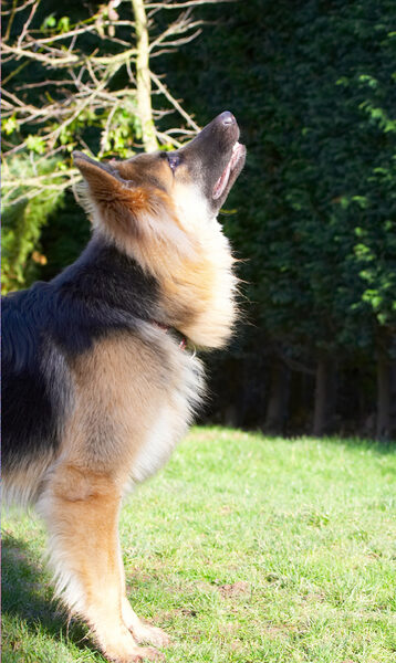 ........ got my eye on the ball .........