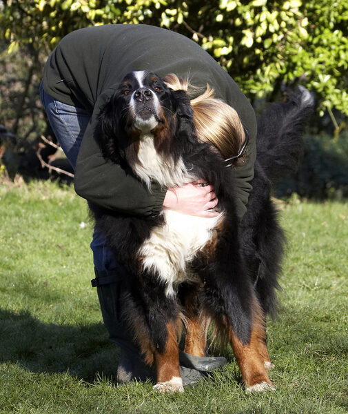 Oh, hug if you must
