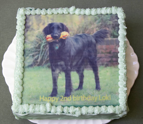 Happy birthday Loki