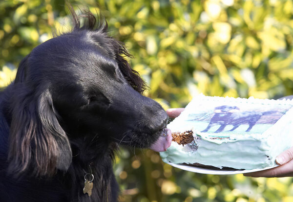 Yep, it's worth another lick