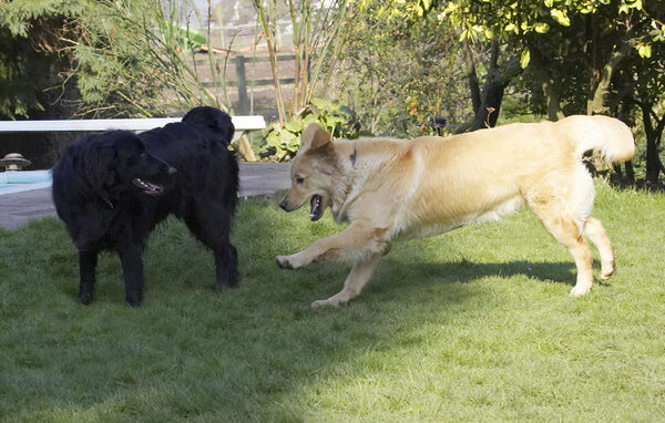 OK, playtime