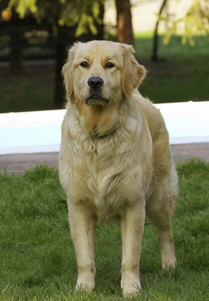Yeah, I know, I'm handsome
