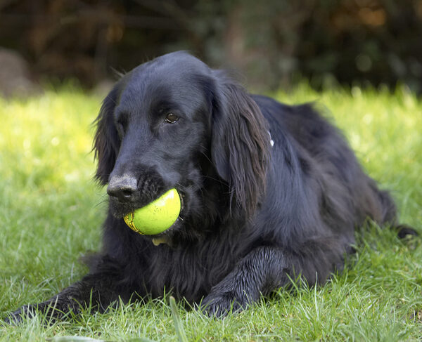 I'll just chew down for a little while