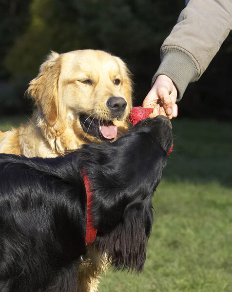 Boy, you've got a good grip