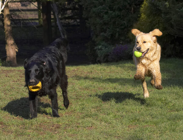 I'm catching you up