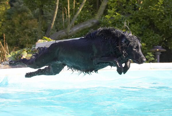 I'm flying