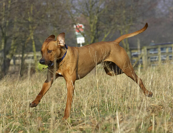 Whee, I'm flying