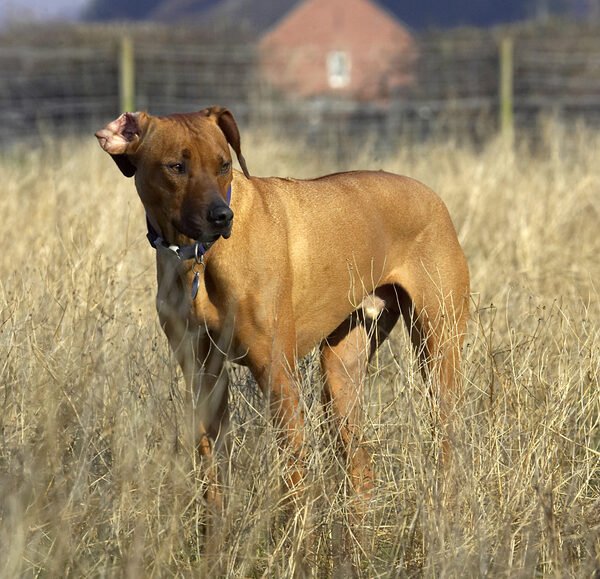 Now, where's that ball gone?