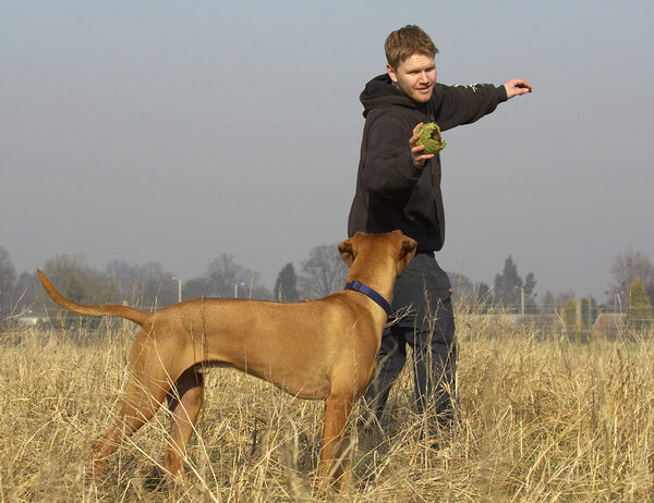 Well, go on, throw