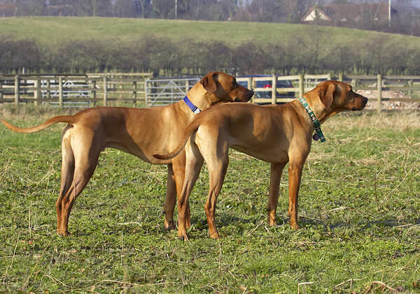 Wot's going over there??