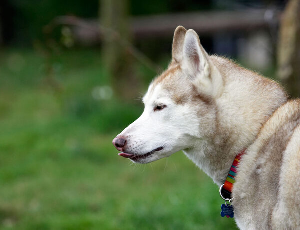 Time for some quiet contemplation