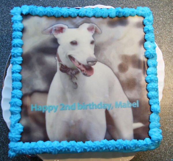Happy birthday, Mabel