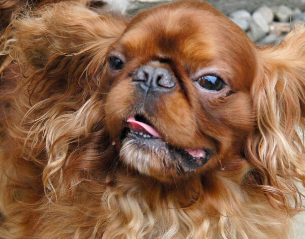 Wot .........