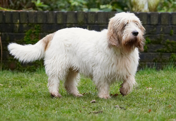 That Libbie, always running around
