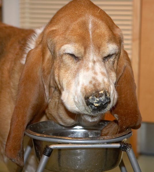 Douglas Eating His Breakfast