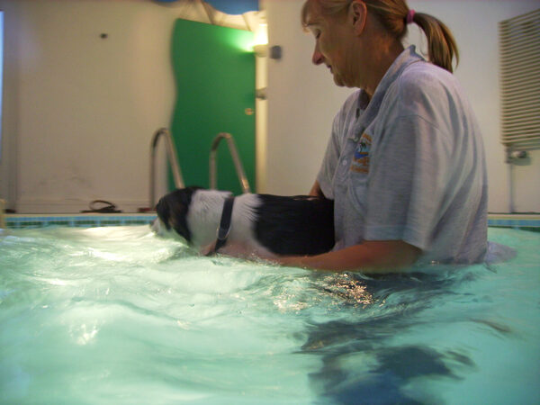 Cathy and Murphy in the Pool