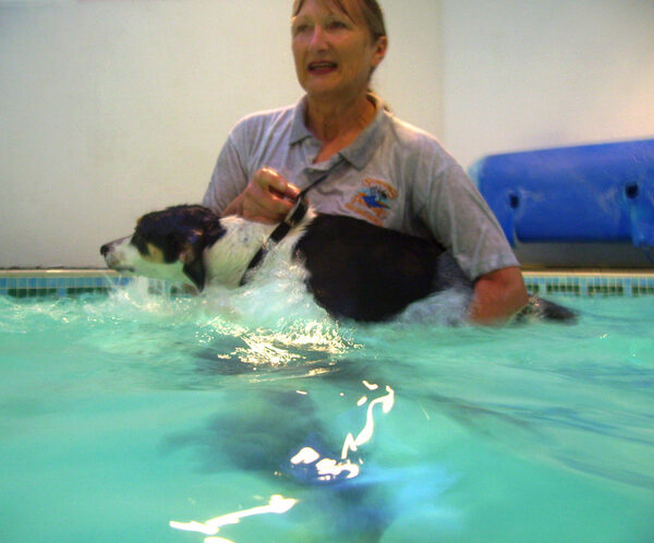 Murphy Trying to Swim Away