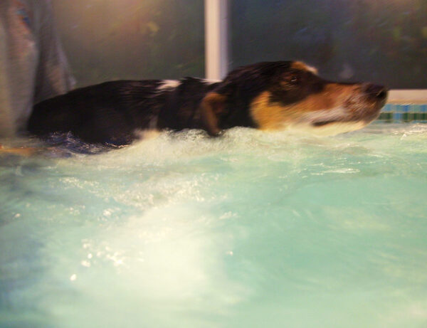 Murphy Swimming